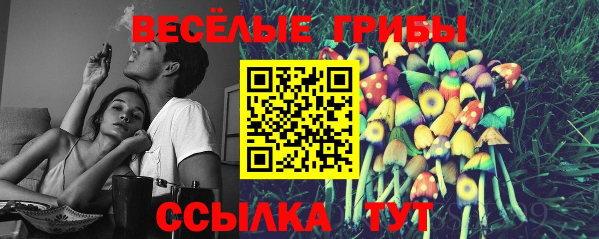 Галлюциногенные грибы Psilocybine cubensis Губкин