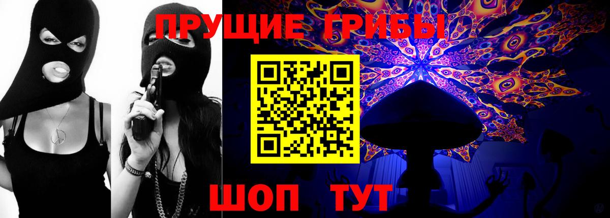даркнет сайт  Вход с VPN  Губкин  Галлюциногенные грибы GOLDEN TEACHER 